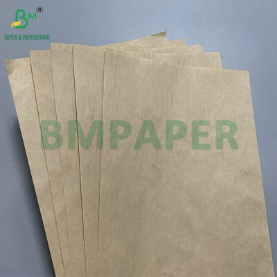 Waterproof 40gsm 50gsm Fruit Wrapping Paper for Apple Cultivation