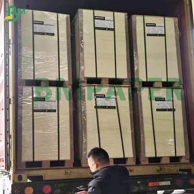 Highly Absorbent Pulp board 0.4-2.0mm For Beer Mat Board Natural White