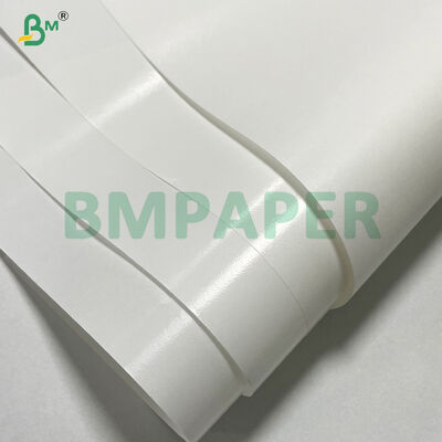 30 Gsm + 10 Gsm Food Grade One Side PE Coated White Food Wrapping Paper 

