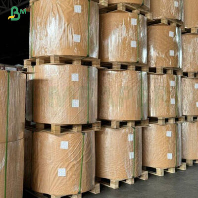 40gsm + 10gsm Oilproof  Single - Side Glossy PE Coated Paper For Food Packing
