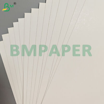 350gsm High Stiffness Coated One Side SBS White Paper Cardboard
