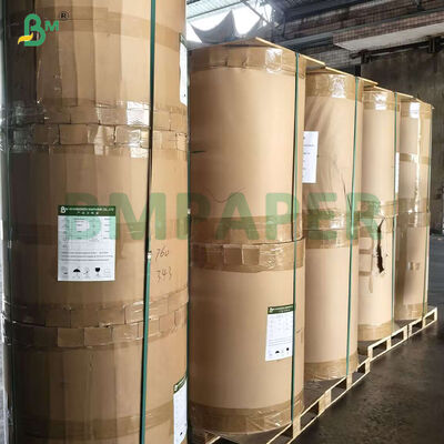 38gsm White Degradable Fried Foods Wrapping GreaseProof Paper  
