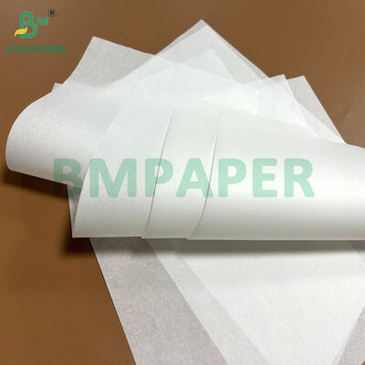 30gsm 40gsm  Food Safety Grease-resistant Paper For Tulip Baking Cup 1100mm 1200mm Reel