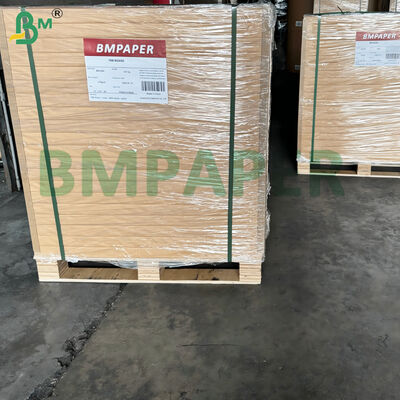 200-360gsm Food Grade Single Side Coated White Top Kraft Paper Low Temperature Resistant For Food Packaging