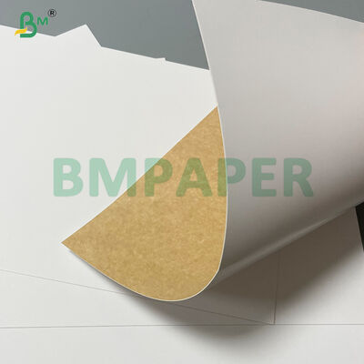 360g Food Grade Clay Coated Recycled Paperboard CCKB for Cold Storage Beverage Carrier
