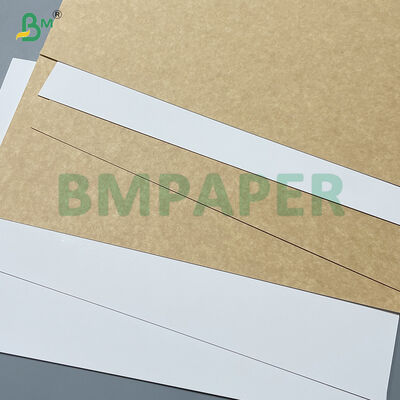360g Food Grade Clay Coated Recycled Paperboard CCKB for Cold Storage Beverage Carrier
