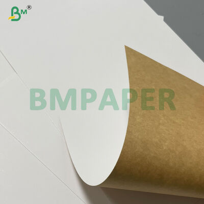 Good Folding Endurance CCKB Clay Coated Kraft Paper Board 
