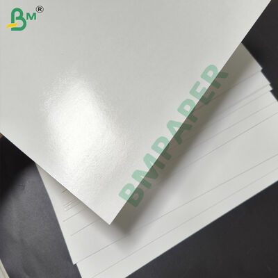 PET Ovenable Paperboard with Special Coating for Frozen Food Packaging