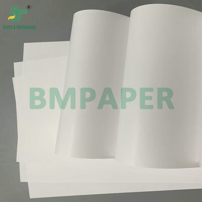 Water Resistant High Gloss Coated One Side 70gsm 80gsm C1S Label Paper for Bottle Labels