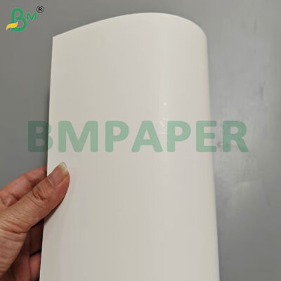 350gsm White Core Double Side Bleached White Cardboard 70*100cm