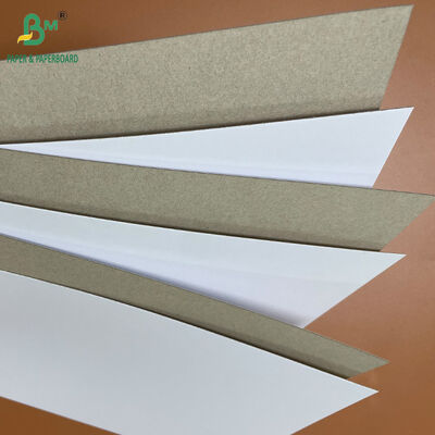 18PT 24PT PE Coated CCNB Paper Board for Frozen Food Packaging Boxes