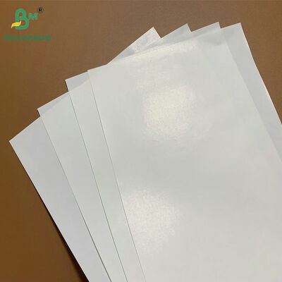 Premium Cast-Coated 60gsm 80gsm Wet Strength Label Paper for High-End Wine and Champagne Labels
