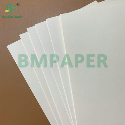 Waterproof & Grease Resistant Food Grade 250-350gsm PE Coated Paper for Disposable Food Trays & Takeout Containers