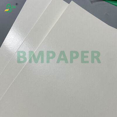  PET Laminated Moisture-proof Tray Paper For Airline Restaurant

