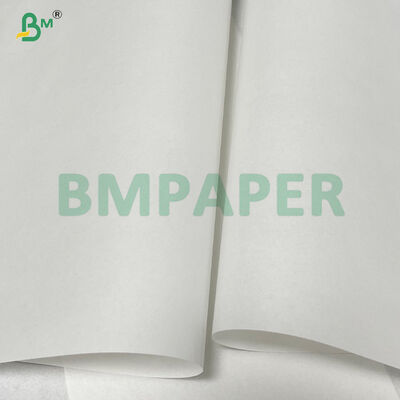 50gsm White Good Flexibility Interleaving Paper 2450mm In Roll