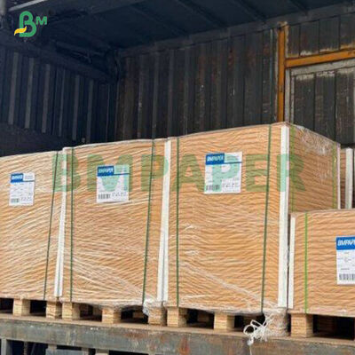 360g Good Stiffness Brown CKB  Food Paperboard In Sheet