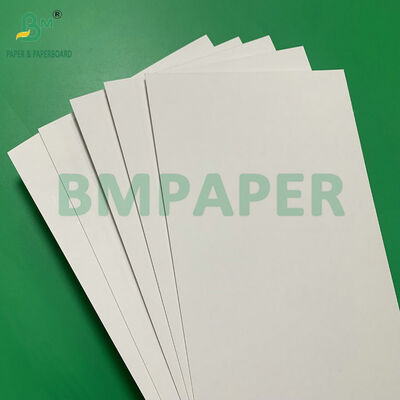 Heat Sealable White Cardboard Sheet for Blister Pack Strong Adhesion with PVC/PET Moisture-proof 250g 300g Rigid Paper for Retail Display