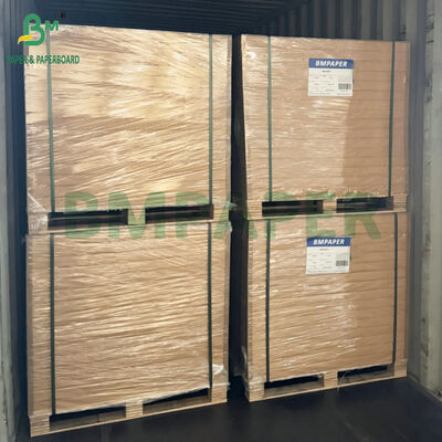 Heat Sealable White Cardboard Sheet for Blister Pack Strong Adhesion with PVC/PET Moisture-proof 250g 300g Rigid Paper for Retail Display