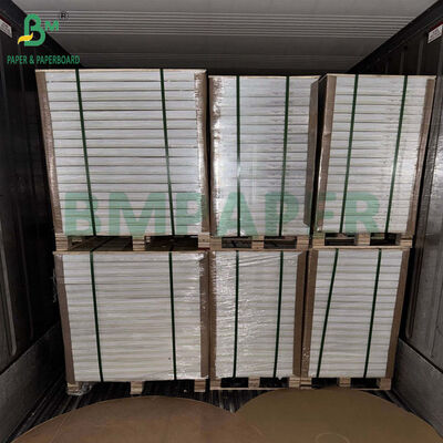 250gsm 270gsm C1S White Blister Package Paper For Retail Package 70 x 100cm