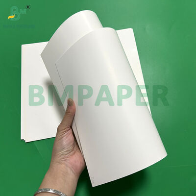 250gsm 270gsm C1S White Blister Package Paper For Retail Package 70 x 100cm