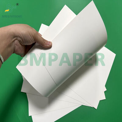 250gsm 270gsm C1S White Blister Package Paper For Retail Package 70 x 100cm