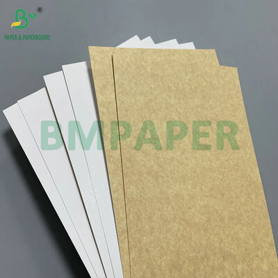 Food Grade Coated 365gsm Kraft Back Board (CKB) for Frozen Food Boxes & Bakery Packaging