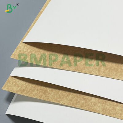 100% Vingin Wood Pulp 280gsm 300gsm White Coated Kraft Paper Board For Food Containers