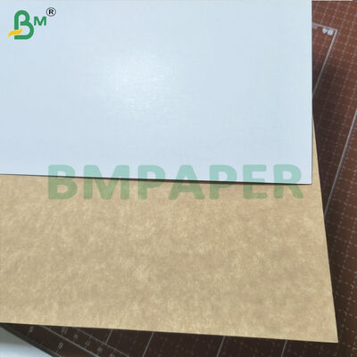 GC4 Coated Kraft Back Paperboard Food Grade For Cake Board 250g 300g