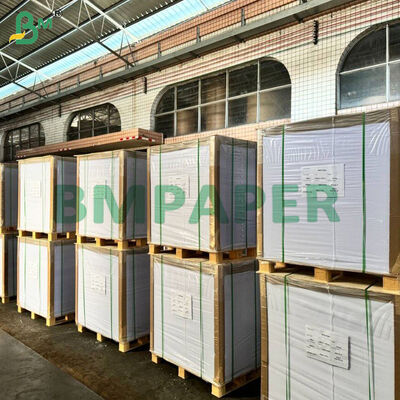 GC4 Coated Kraft Back Paperboard Food Grade For Cake Board 250g 300g