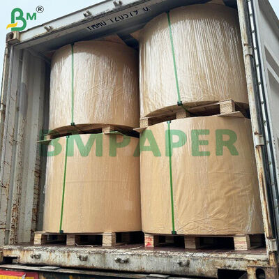 WTKB Food Board One Side White Coated Kraft Board For Directly Food Packaging