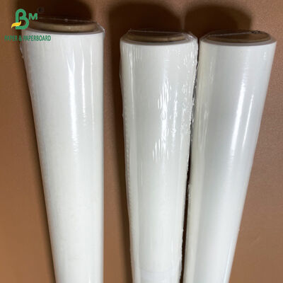 No-stick 38gsm 40gsm Heat Resistant White Parchment Paper For Food Baking