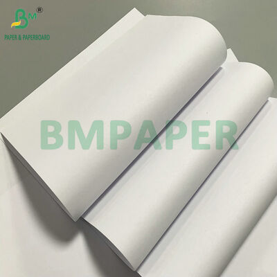 Durable Thin Anti-Aging 30gsm 35gsm Dictionary Paper for Long-Life Dictionary Printing