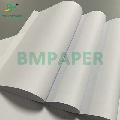 Durable Thin Anti-Aging 30gsm 35gsm Dictionary Paper for Long-Life Dictionary Printing