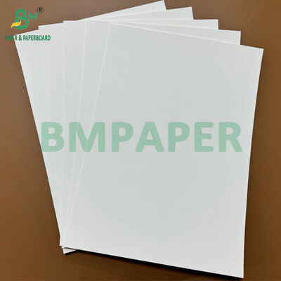 200gsm Eco-Friendly Raw Absorbent Coaster Base Paper Blotting Paper for Beer Mat & Cup Mat Manufacturing
