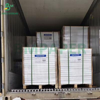 28gsm 40gsm High White Durable Bible Paper For Printing Bible 70 x 100cm