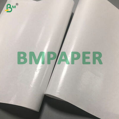 Oil - Proof 35gsm 40gsm PE Coated kraft Paper For Wrapping Bag