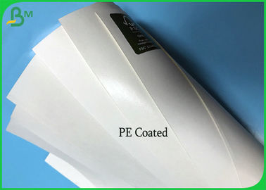 Waterproof White Poly Coated Paper Food Grade Virgin Pulp Material FDA Certified