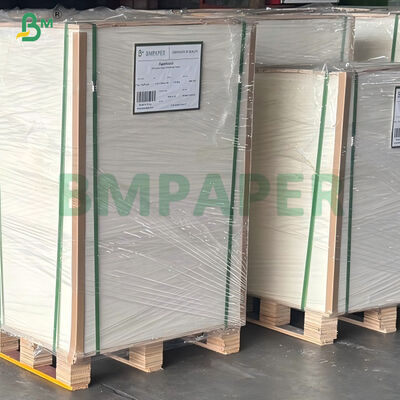 High Oil Resistant 20gsm 24gsm PE Coated Hot Soup Noodle Soup Paper