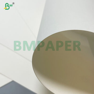 High Oil Resistant 20gsm 24gsm PE Coated Hot Soup Noodle Soup Paper