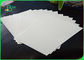 Tear Proof Polyethylene Coated Paper Biodegradable 160gsm With 10 PE Film