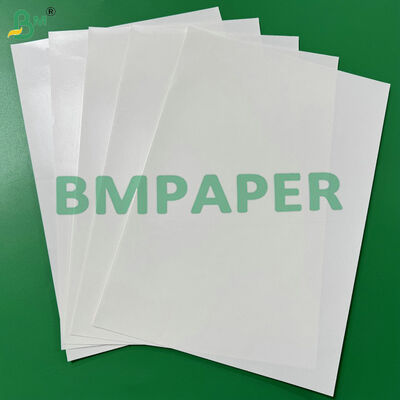 Heat-Sealable Oil-Resistant 15g PE Coating 120g White Kraft Paper Ideal for Dry Food Bags and Snack Packaging