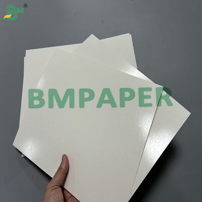 300gsm +15PE Greaseproof Street Food Paper For Making Food Tray 594 x 841mm