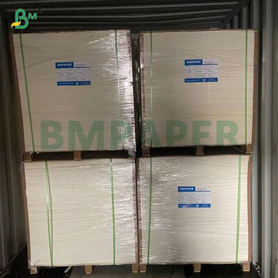300–330gsm Single-side 18gsm PE Coating Paper For Paper Containers