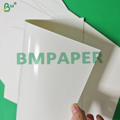 Food Safe 170 - 320gsm + 15g PE Cupstock Paper For Hot Drinks Leak Proof  870mm