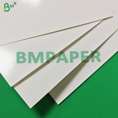 Food Safe 170 - 320gsm + 15g PE Cupstock Paper For Hot Drinks Leak Proof  870mm
