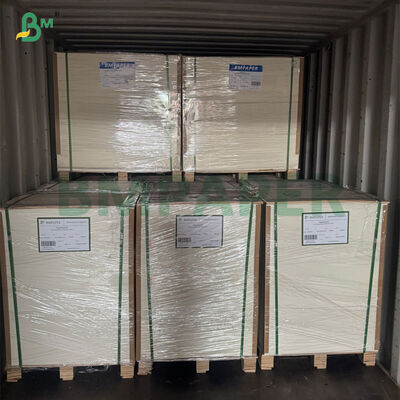 Water-based Coating Cupstock Paper 170-320gsm Extruded With PE15 MIC
