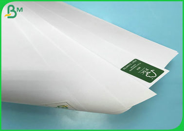 Grade AA Uncoated Offset Paper 70*100cm 70gsm 80gsm Woodfree Paper White Color