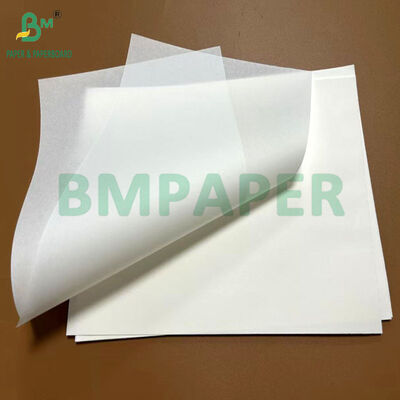 30gsm 40gsm Grease Resistant Slip Easy Paper For Making Baking Cups 27.25 X 28inch