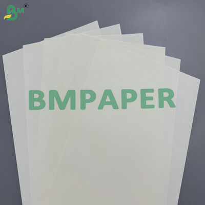 60-120gsm Bulk Supply Cream Woodfree Offset Paper for Notebooks & Book Printing