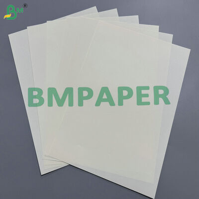 60-120gsm Bulk Supply Cream Woodfree Offset Paper for Notebooks & Book Printing